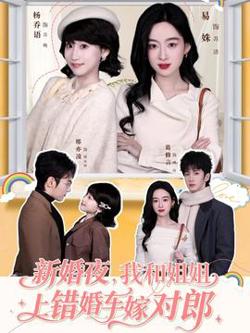 新婚夜，我和姐姐上错婚车嫁对郎在线观看