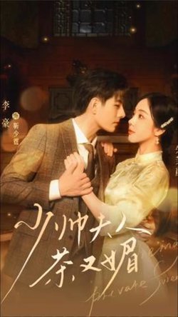 少帅夫人茶又媚在线观看