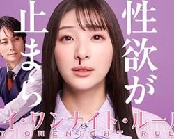 我的一夜情规则高清播放