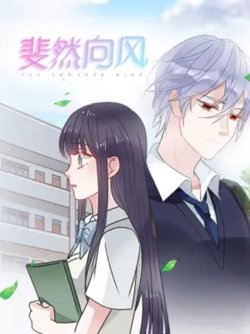 斐然向风在线观看