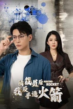被裁员后我反手造火箭高清播放