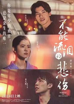 不能流泪的悲伤[电影解说]高清播放