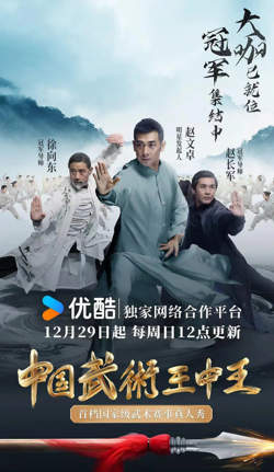 中国武术王中王在线观看