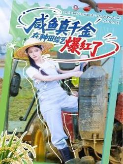 咸鱼真千金在种田综艺爆红了高清播放
