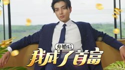 修罗帅(弃婚后我成了首富)高清播放