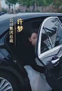 女老板的复仇高清播放