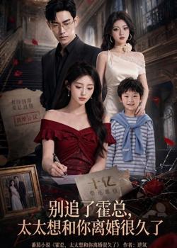 别追了霍总,太太想和你离婚很久了在线观看