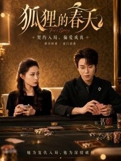 狐狸的春天
