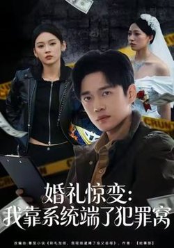 婚礼惊变：我靠系统端了犯罪窝在线观看