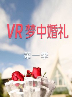 VR梦中婚礼第一季高清播放