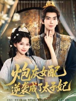 炮灰女配逆袭成了太子妃高清播放