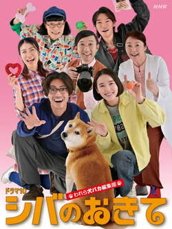 柴犬的规矩～我们这群狗痴编辑部高清播放