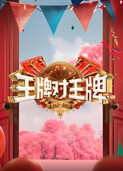王牌对王牌 第九季在线观看