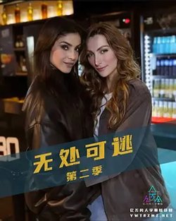 无处可逃第二季高清播放