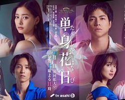 单身初恋日记高清播放