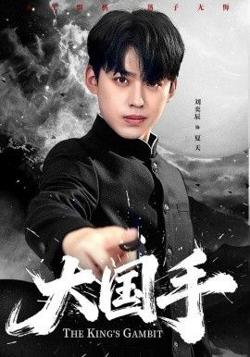 大国手在线观看