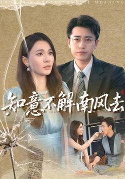知意不解南风去高清播放