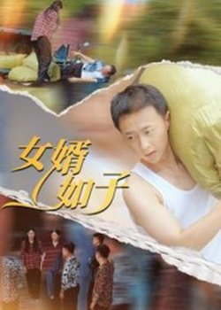 女婿如子高清播放