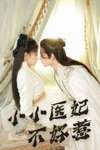 小小医妃不好惹高清播放