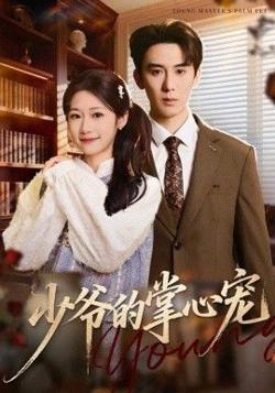 少爷的掌心宠高清播放