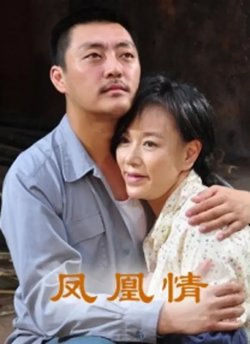 凤凰情【影视解说】在线观看