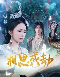 相思成劫在线观看
