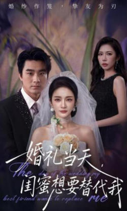 婚礼当天,闺蛮想要替代我