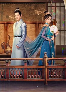 双面太子妃高清播放
