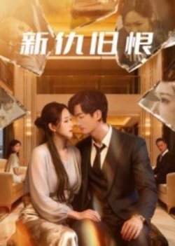 新仇旧恨在线观看