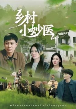 乡村小妙医高清播放