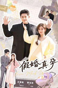 假婚真孕在线观看