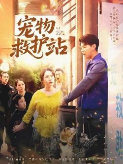 宠物救护站在线观看