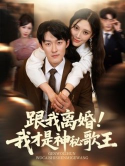 跟我离婚!我才是神秘歌王高清播放