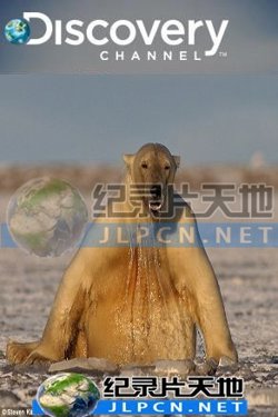 动物绝技大公开高清播放