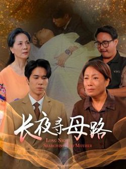 长夜寻母路高清播放