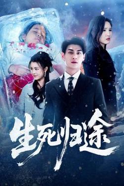 生死归途高清播放