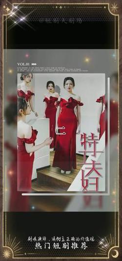 特工夫妇高清播放