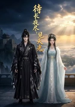待长夜尽,见天光高清播放