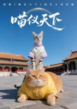喵仪天下高清播放