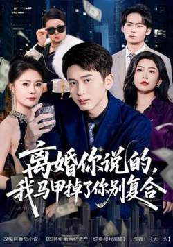 离婚你说的，我马甲掉了你别复合在线观看