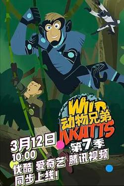 动物兄弟第七季高清播放