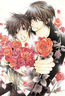 世界第一初恋第一季高清播放