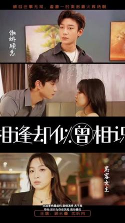 相逢却似曾相识高清播放