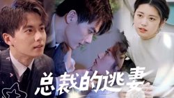 总裁的逃妻高清播放