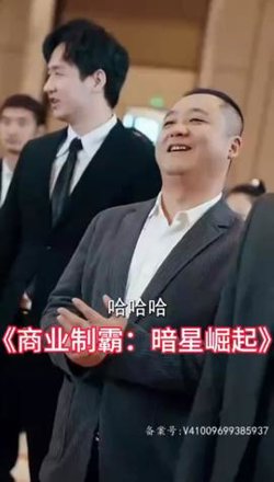 商业制霸：暗星崛起在线观看