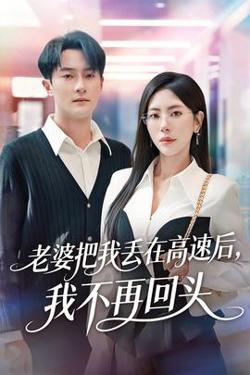 老婆把我丢在高速后，我不再回头高清播放