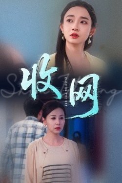 收网高清播放