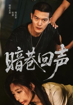 暗巷回声高清播放