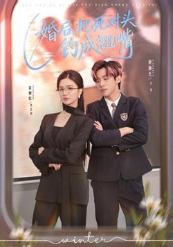 婚后，把死对头钓成翘嘴高清播放