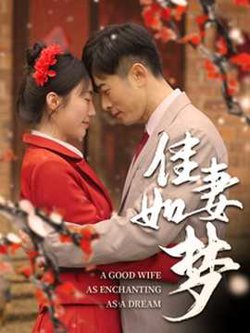 佳妻如梦在线观看